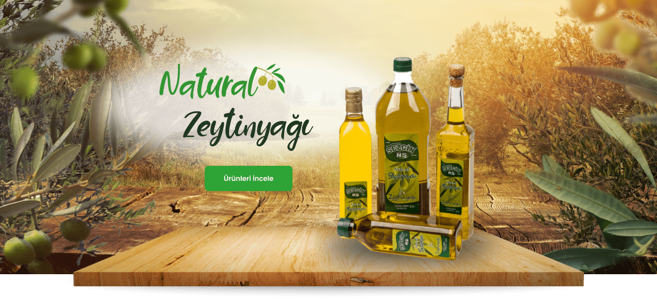 Sezgin