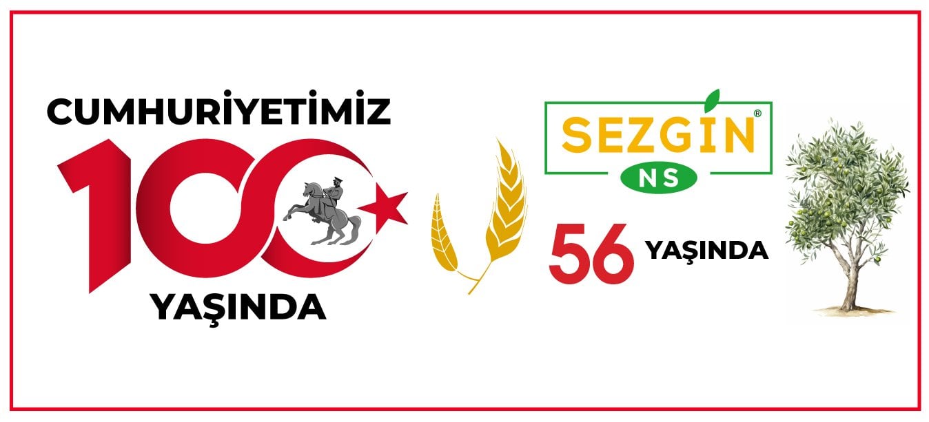 100.yıl